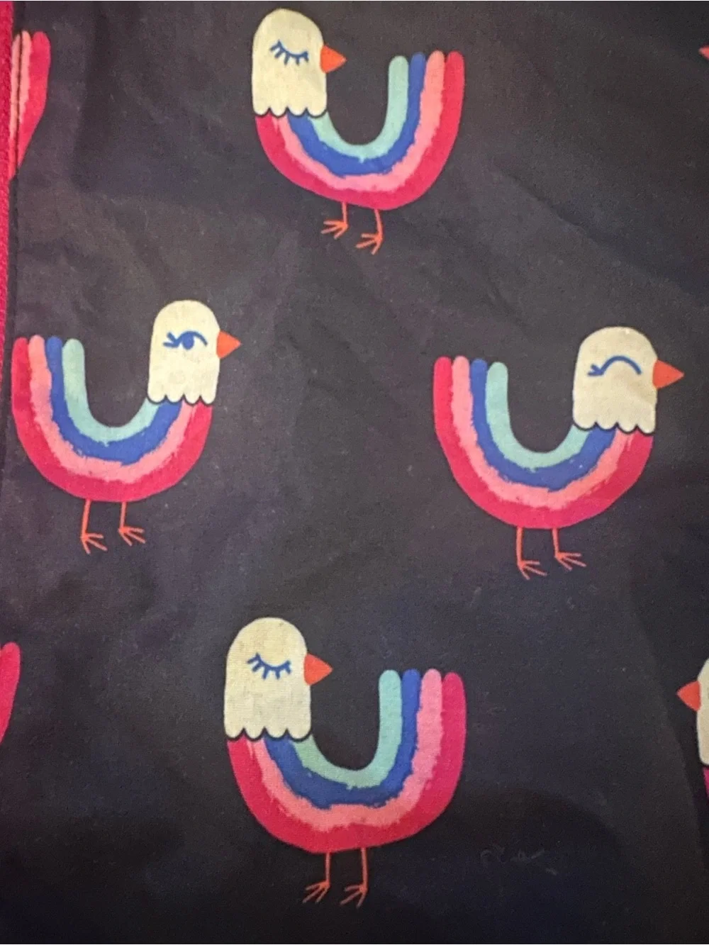 Hatley Navy Hooded Jacket with Pink Fleece Lining and Bird Print - size 8 kids